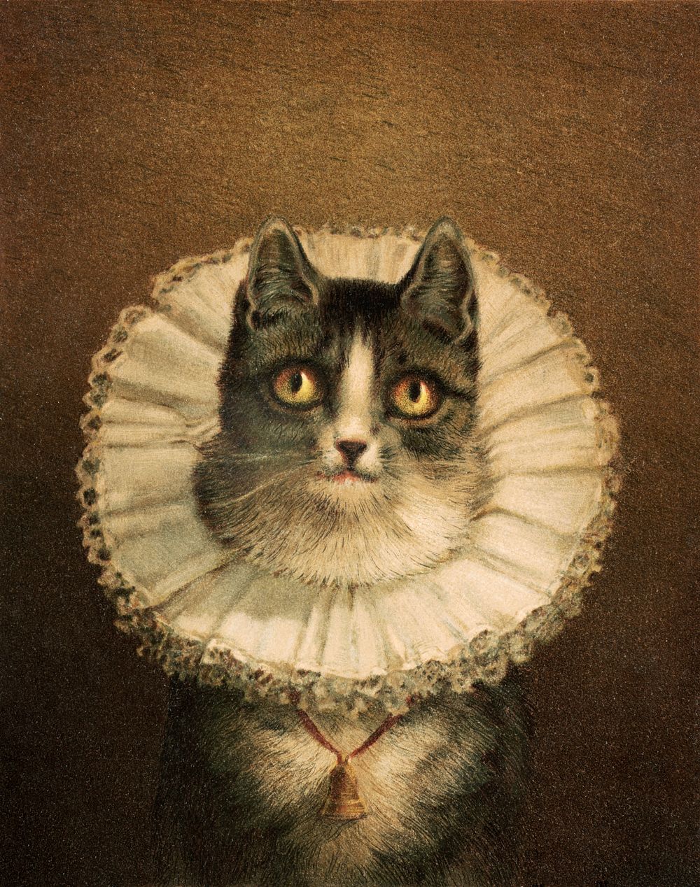 The widow (1861&ndash;1897), vintage cat portrait illustration by L. Prang & Co. Original public domain image from Digital…