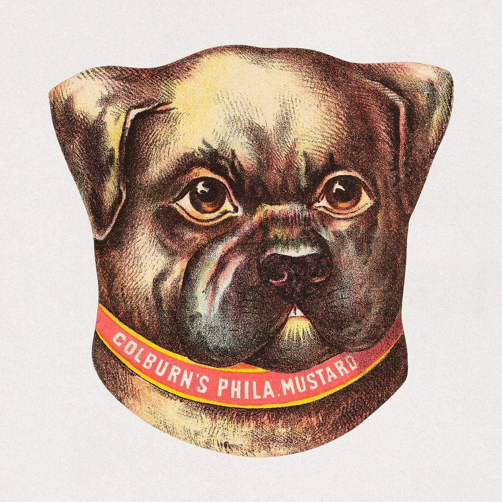 Colburn's Phila. Mustard (1870&ndash;1900), vintage dog illustration. Original public domain image from Digital…