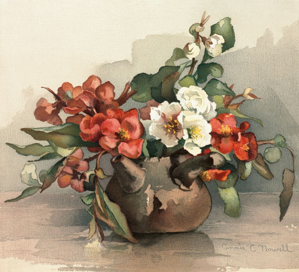 Two florals on one sheet (1861&ndash;1897), vintage flower illustration by Annie C. Nowell. Original public domain image…