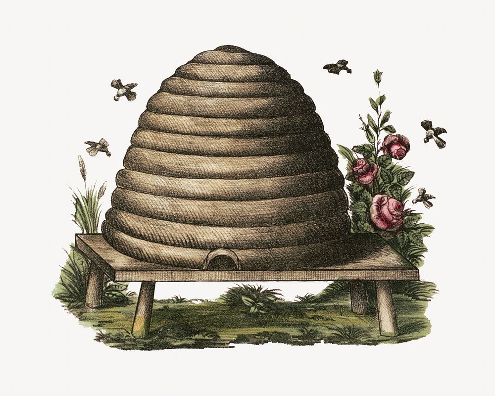 Vintage beehive illustration. Remixed by rawpixel.