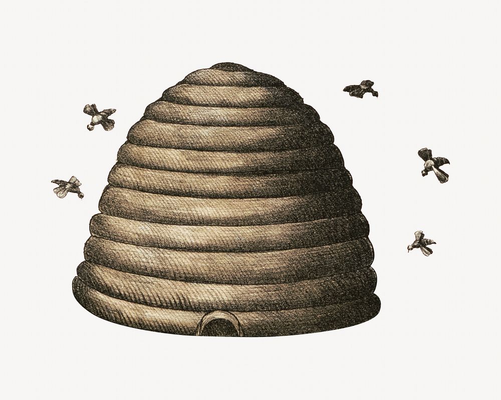 Vintage beehive illustration. Remixed by rawpixel.