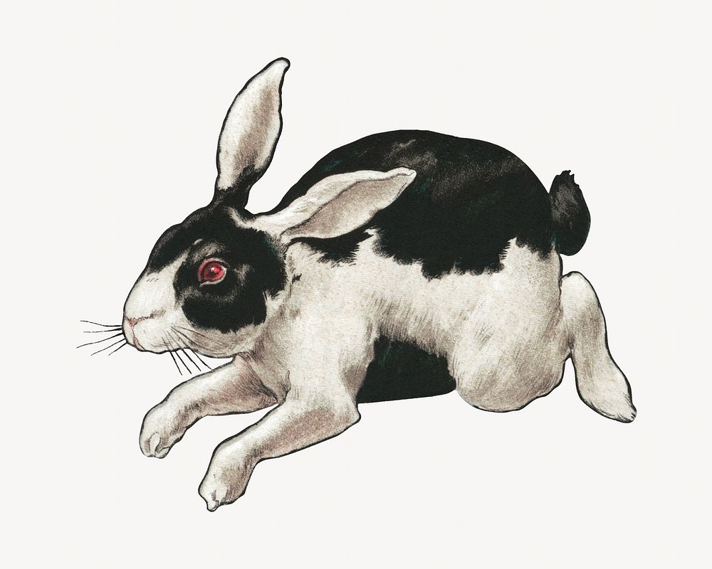 Rabbit, vintage animal illustration. Remixed by rawpixel.