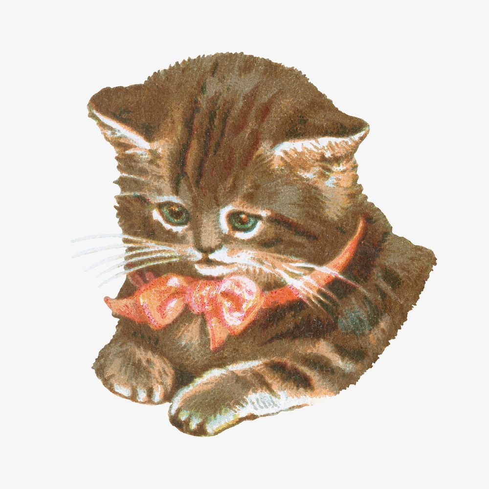 Cute little kitten, vintage cat illustration. Remixed by rawpixel.
