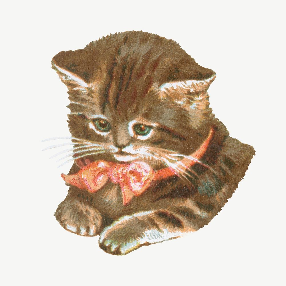 Cute little kitten, vintage cat illustration psd. Remixed by rawpixel.