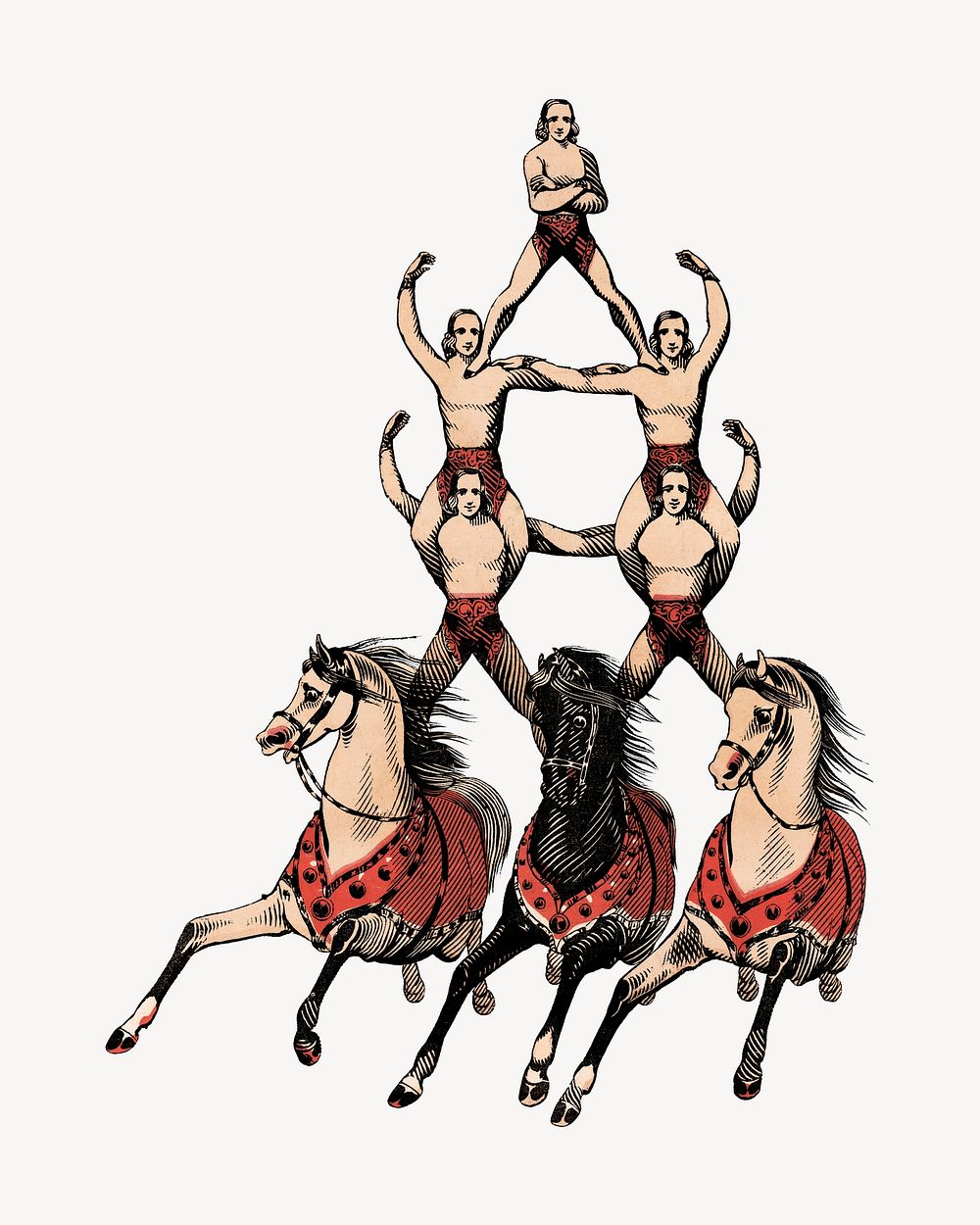 Vintage acrobats on three horses illustration. Remixed by rawpixel. 