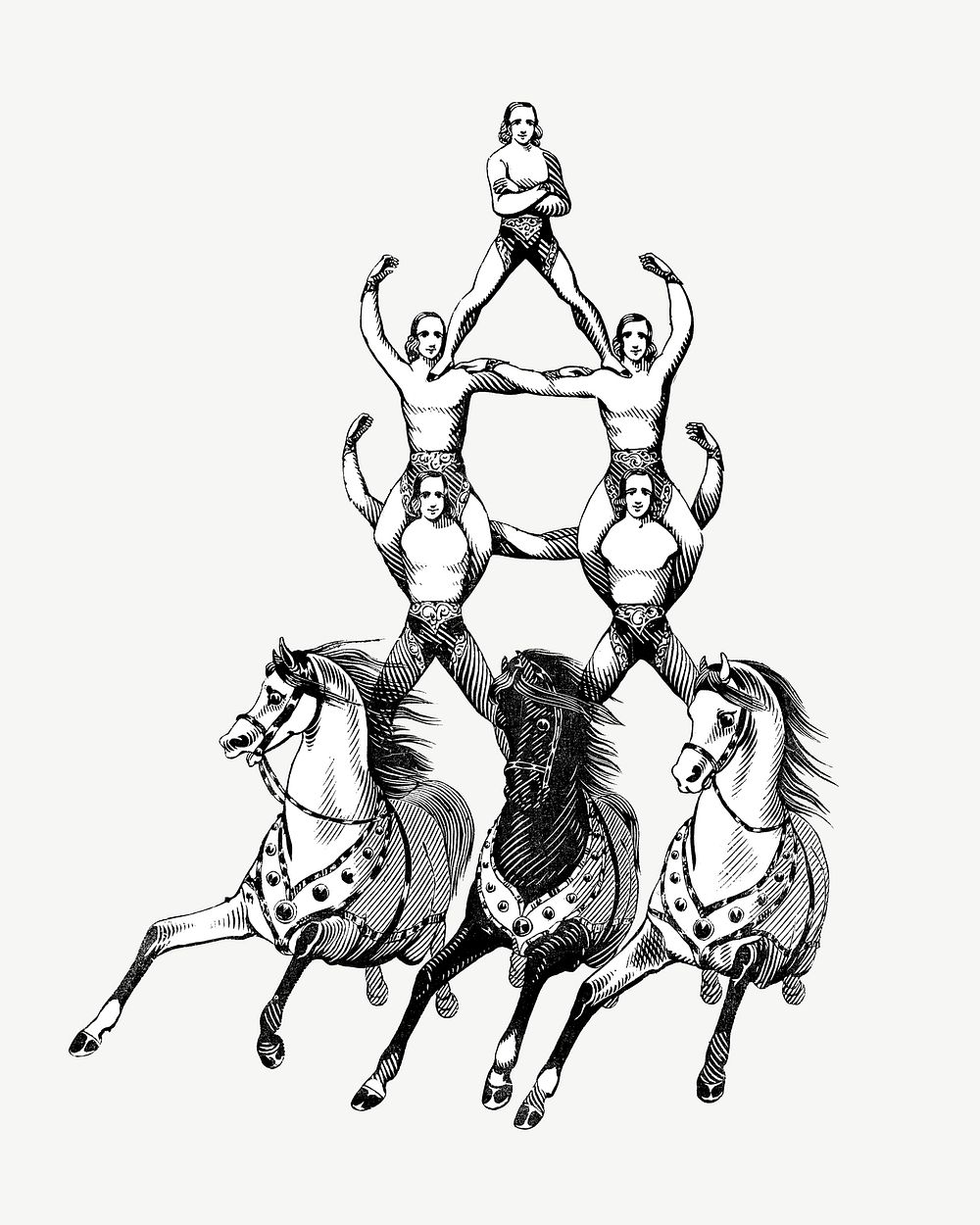 Vintage acrobats on three horses psd. Remixed by rawpixel. 