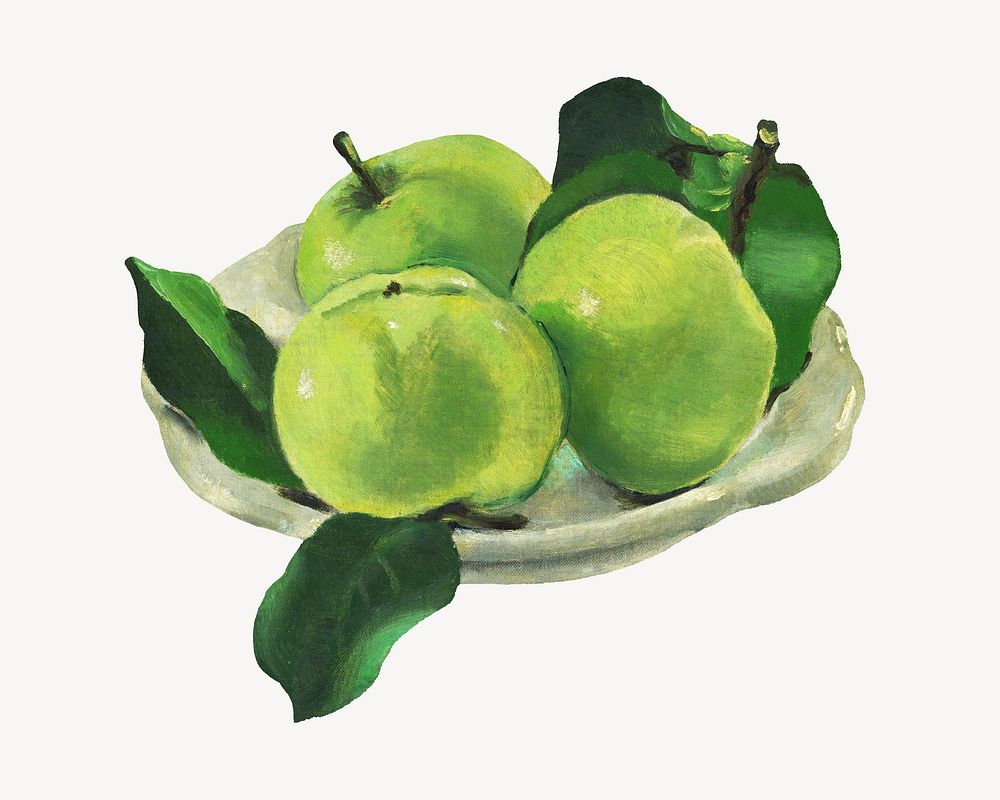 Vintage green apples illustration. Remixed by rawpixel. 