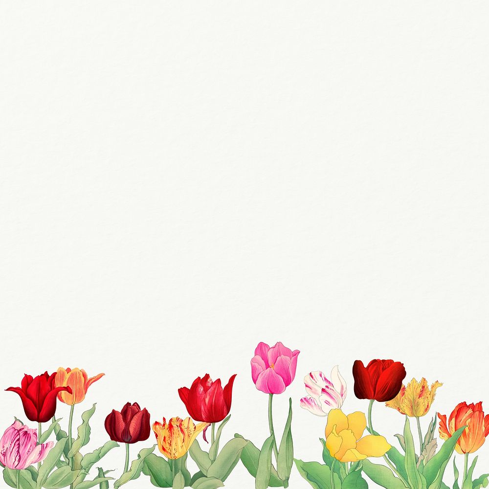 Vibrant tulips border background. Remixed by rawpixel.
