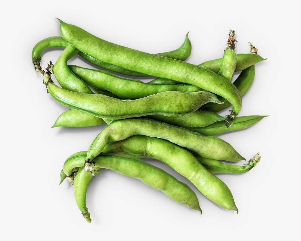 Broad beans image graphic psd