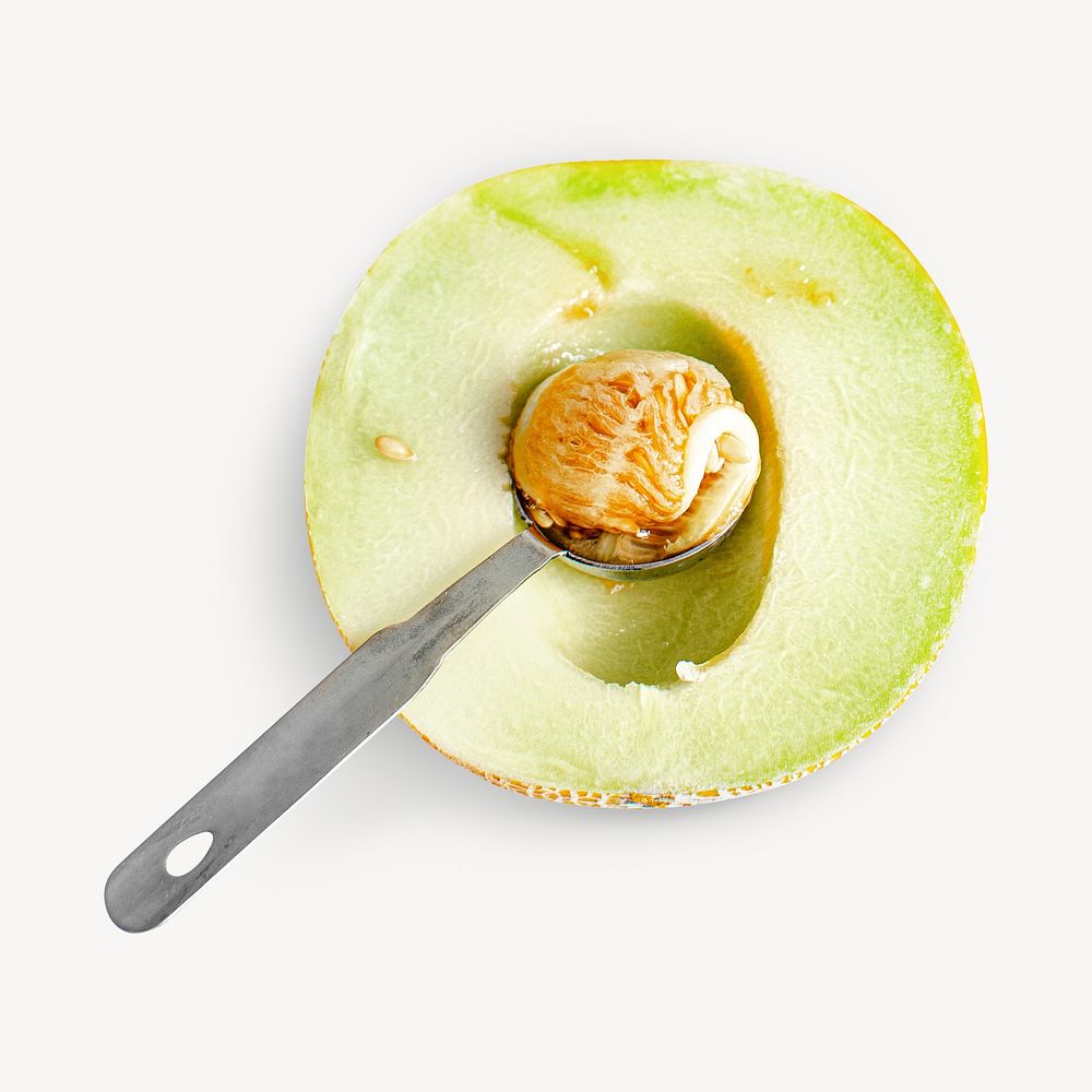 Melon image on white