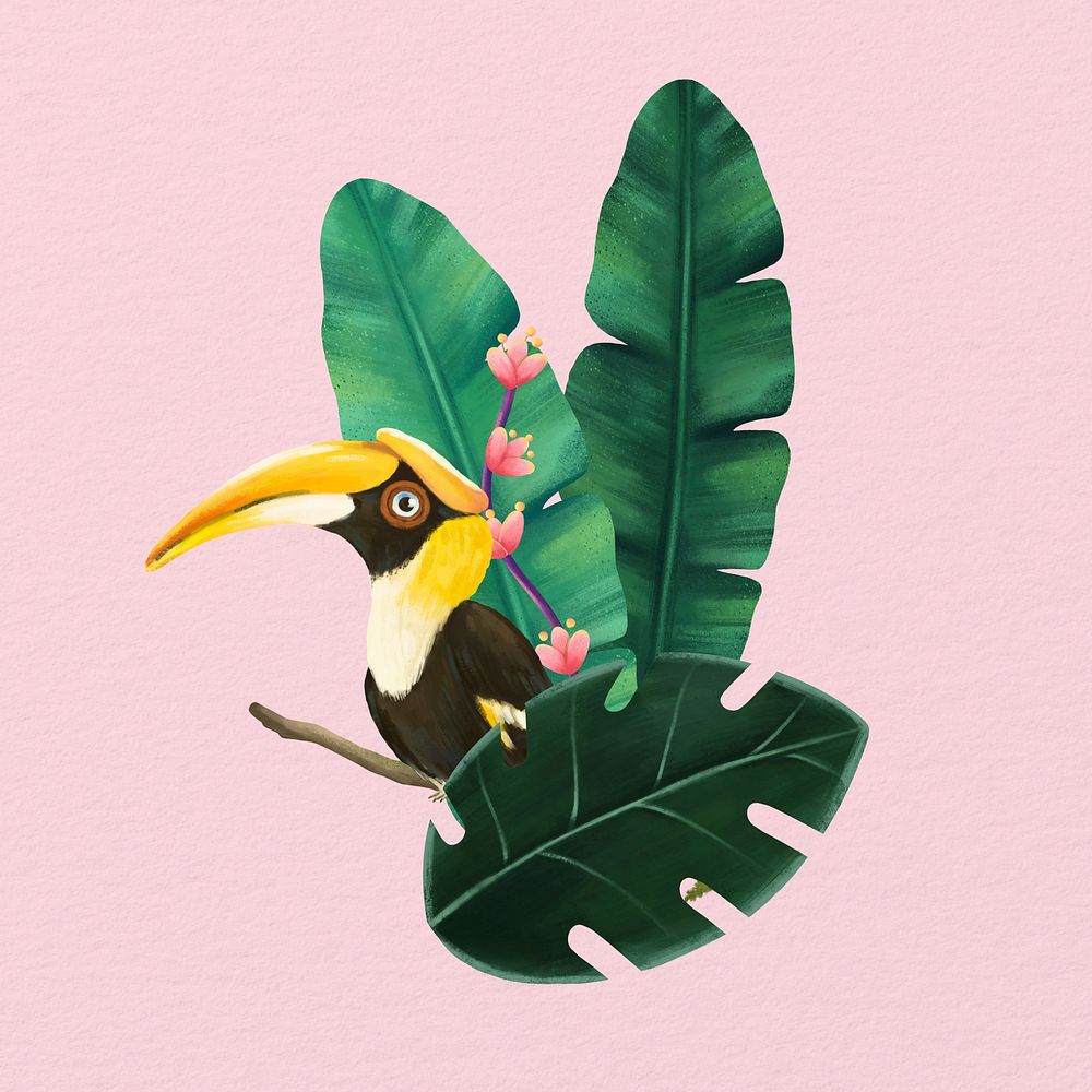 Hornbill bird illustration, pink design