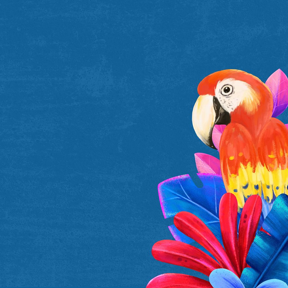 Macaw bird border background, blue design