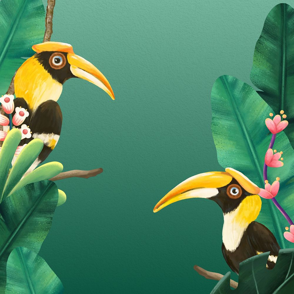 Hornbill bird border background, green design