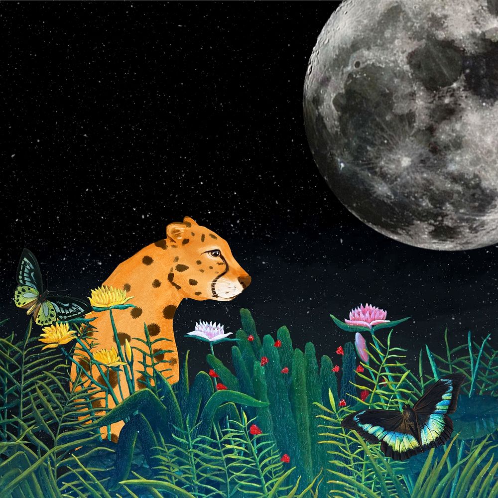 Cheetah background, dark moon & wildlife design