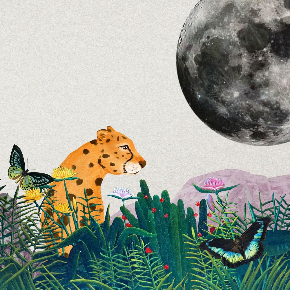 Cheetah background, gray moon & wildlife design