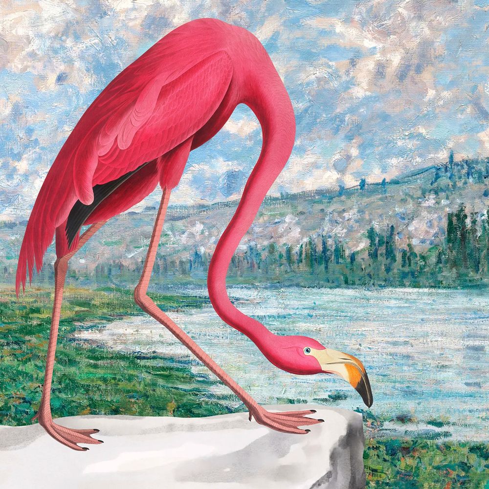 Aesthetic flamingo background, drawing design