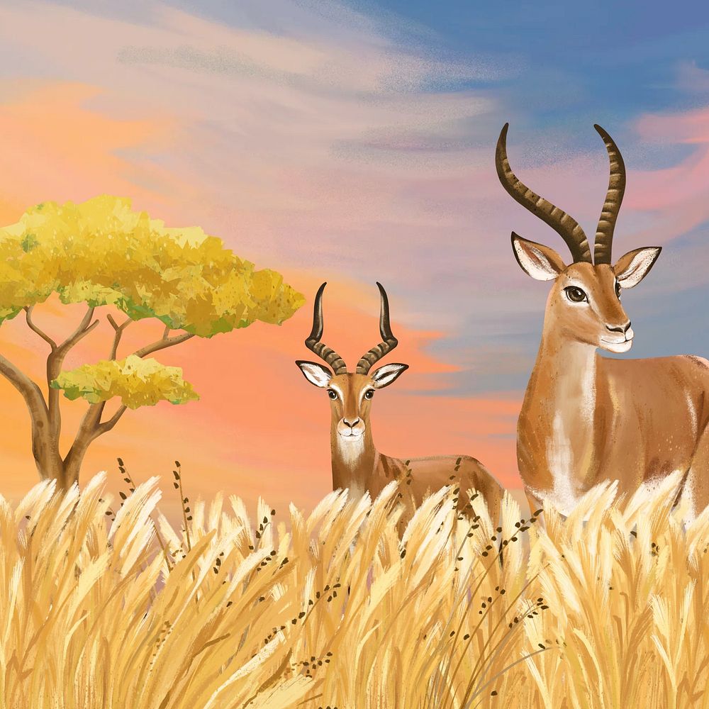 Savanna wildlife background, drawing design