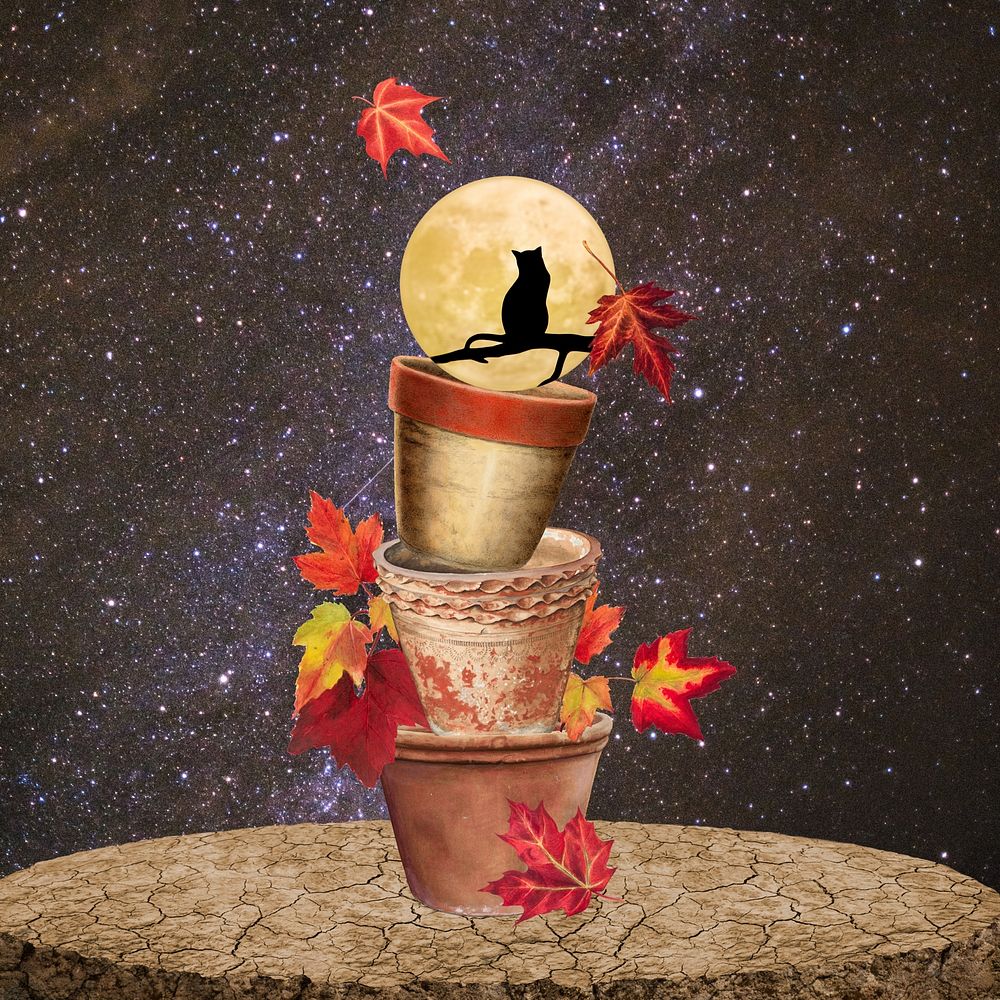 Autumn Halloween night background