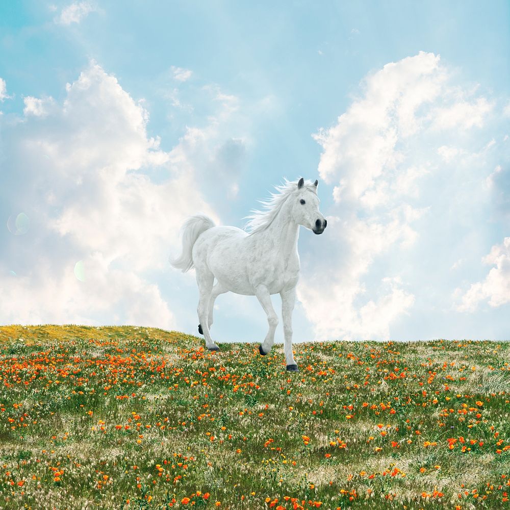 Horse aesthetic background, dreamy grass field