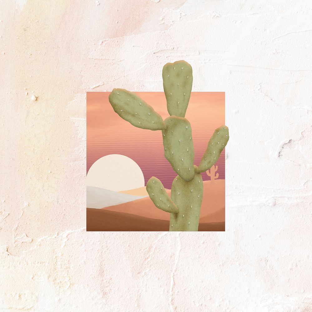 Aesthetic cactus background, desert plant