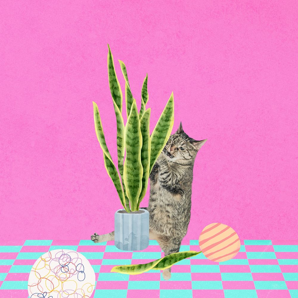 Cat ruining houseplant background, funny pet remix