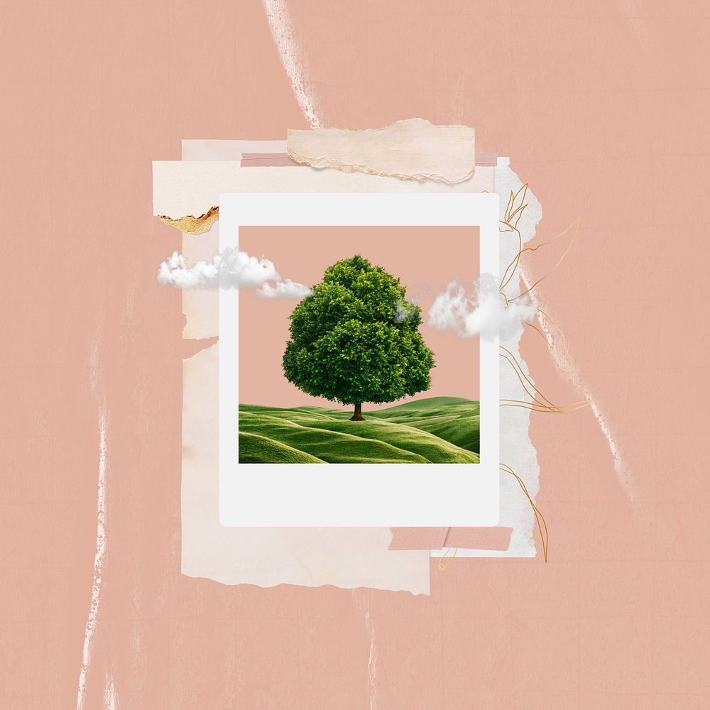 Aesthetic tree, pink background