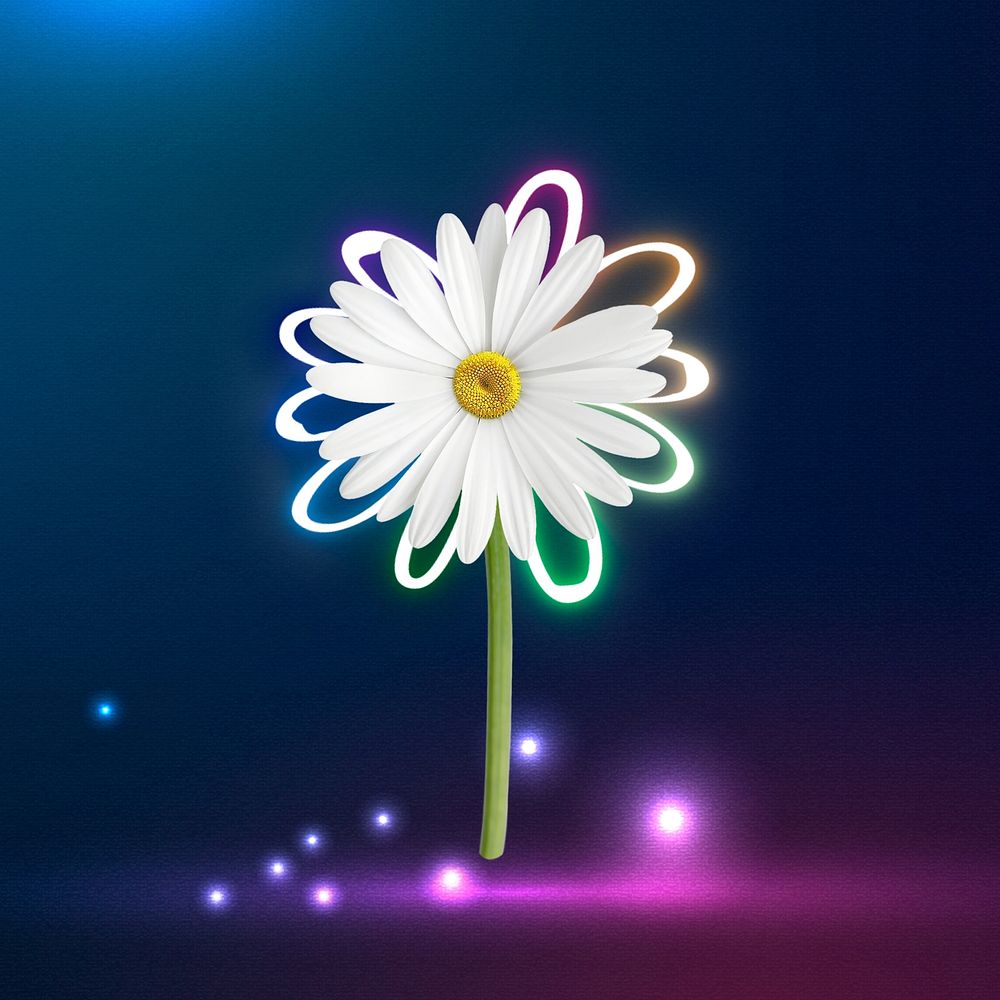 Neon daisy flower background, dark blue background