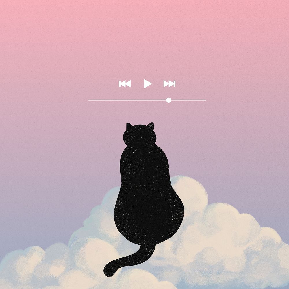 Aesthetic sky playlist, cat background
