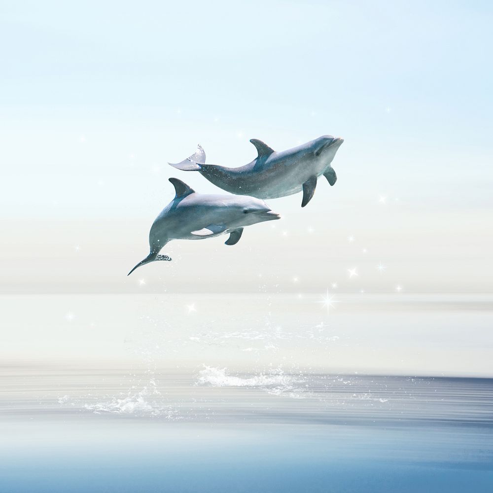 Swimming dolphins background, surreal sky