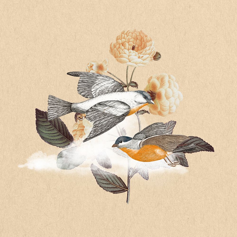 Vintage bird background, beige animal remix