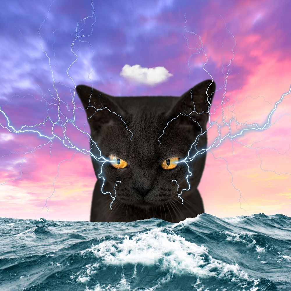 Grumpy cat background, surreal ocean remix