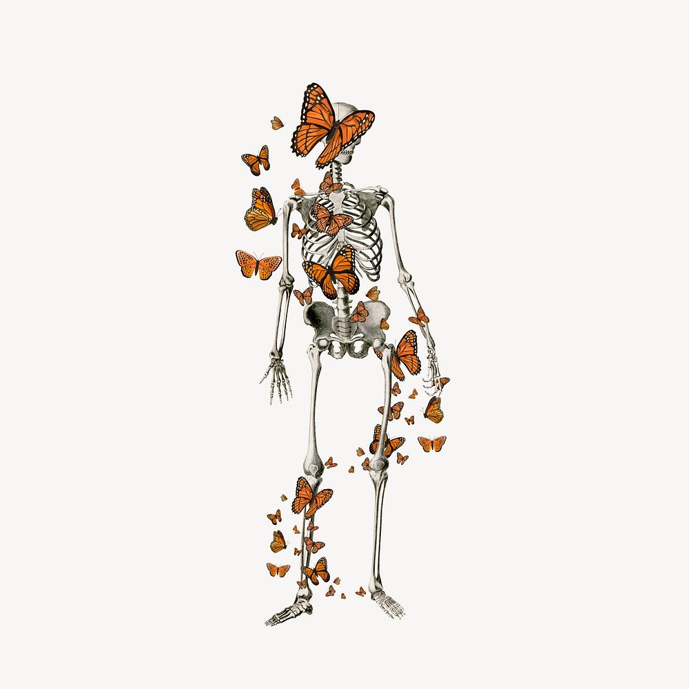 Skeleton & butterfly collage element, Halloween design
