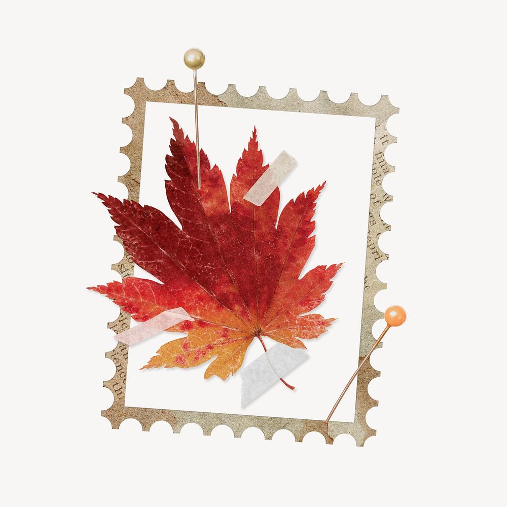 Autumn maple leaf, postage stamp
