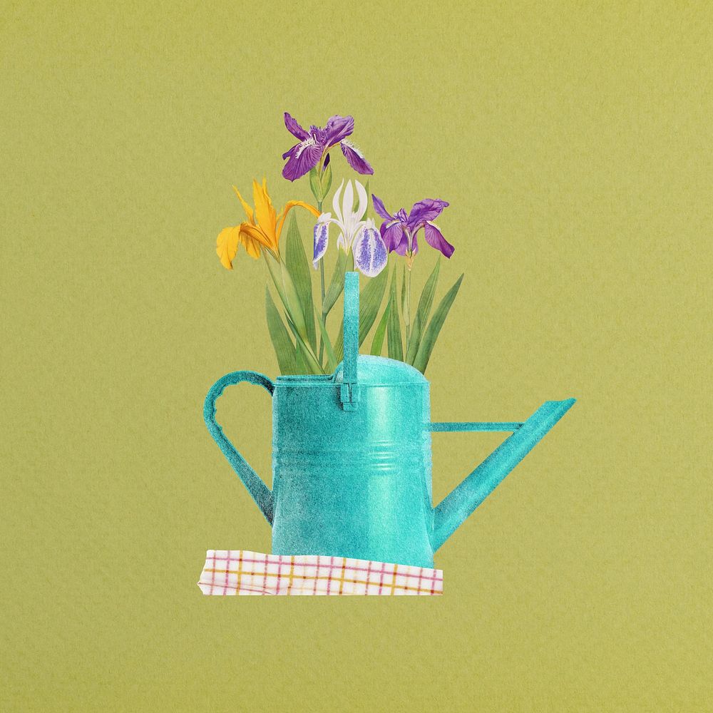 Spring flower, iris in teal watering can remix illustration