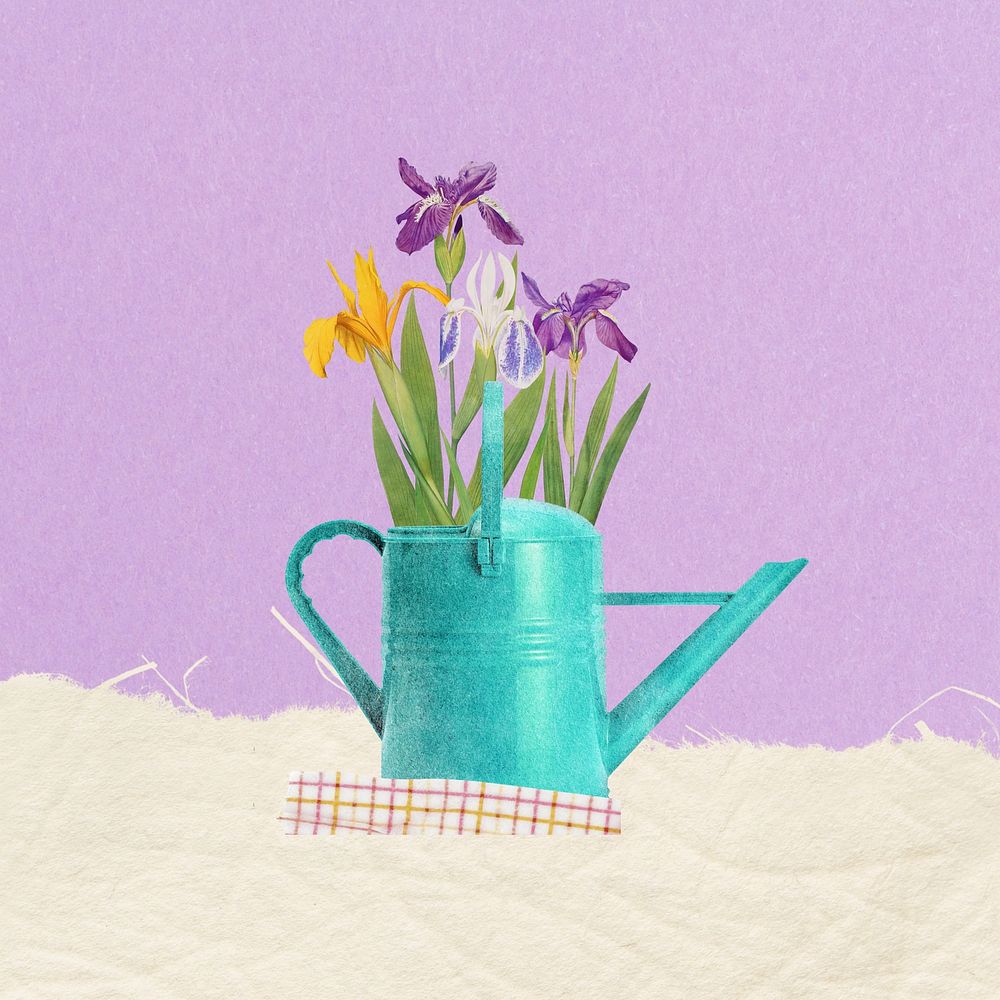 Teal watering can, iris flower remix illustration