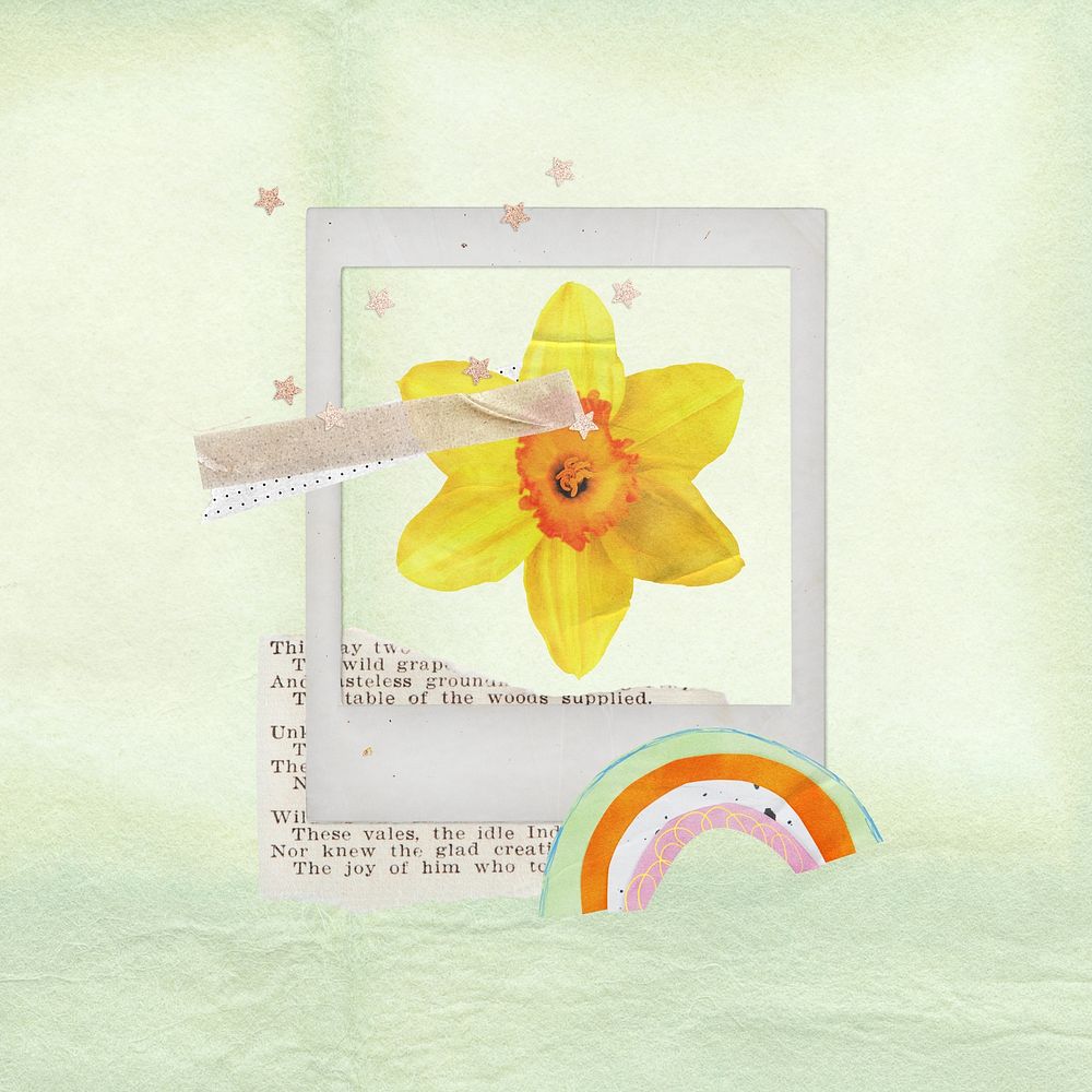 Daffodil flower, Easter instant picture frame remix illustration