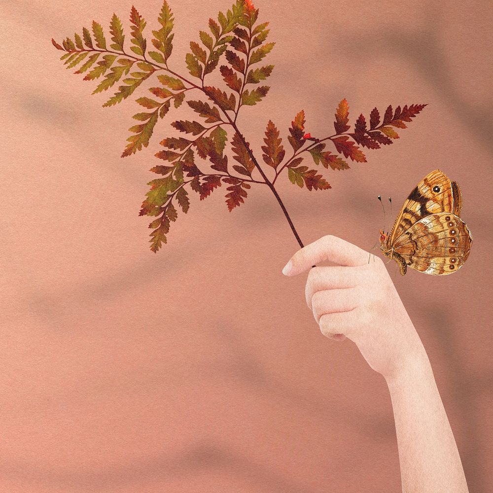  Autumn leaf branch background, seasonal aesthetic collage