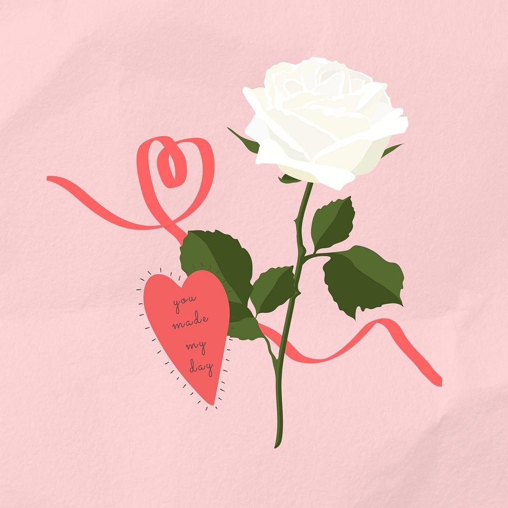 Valentine's white rose, flower graphic