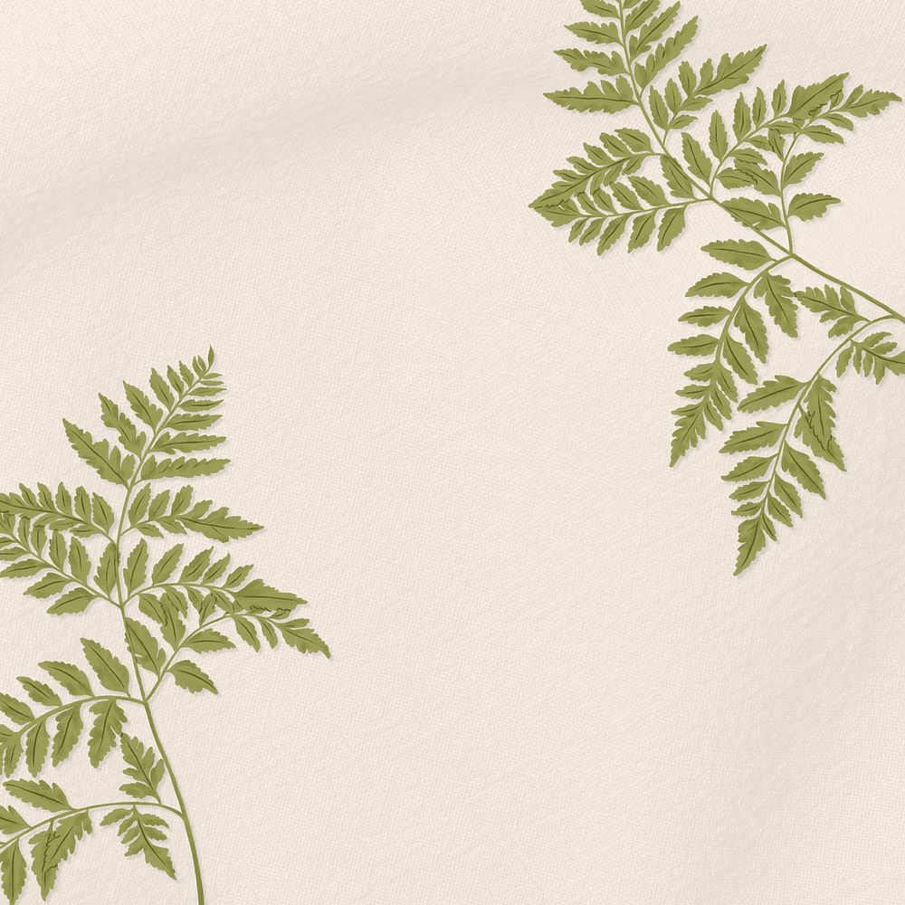Beige leafy border background, botanical illustration