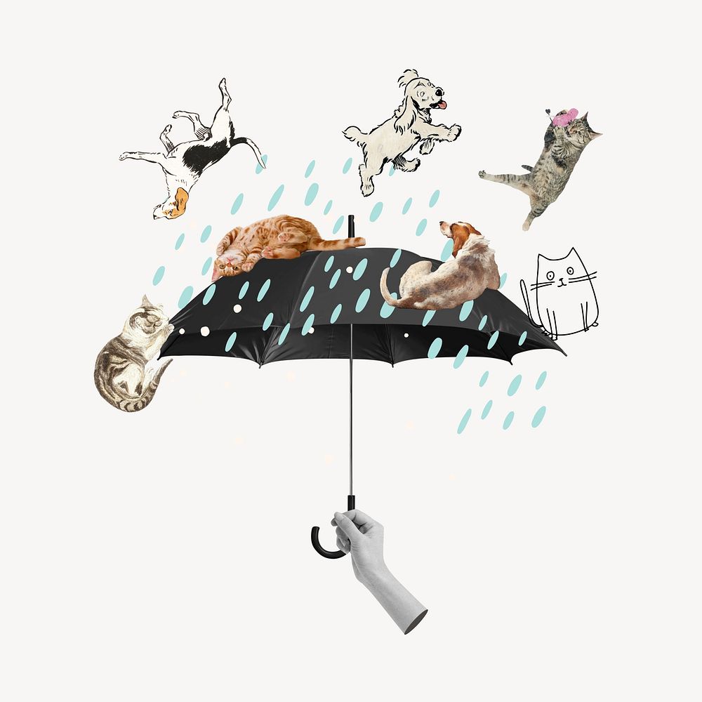 Rains like cats and dog umbrella, collage remix design