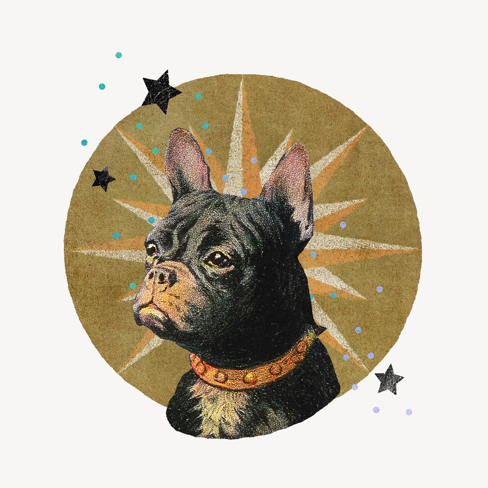 Ephemera Bulldog, aesthetic collage element