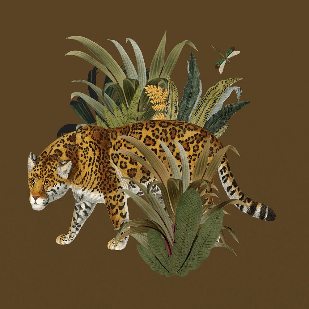 Vintage jaguar tiger, wildlife collage element