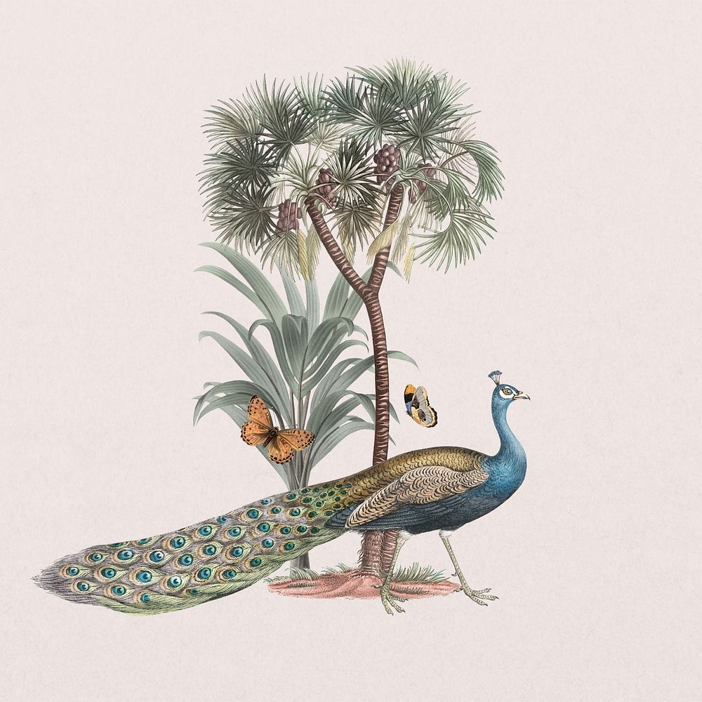 Exotic peacock, bird botanical remix