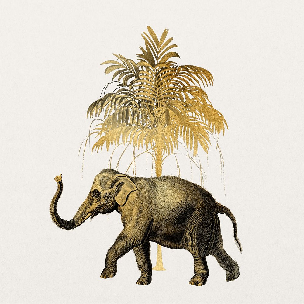 Gold elephant, vintage wildlife collage element