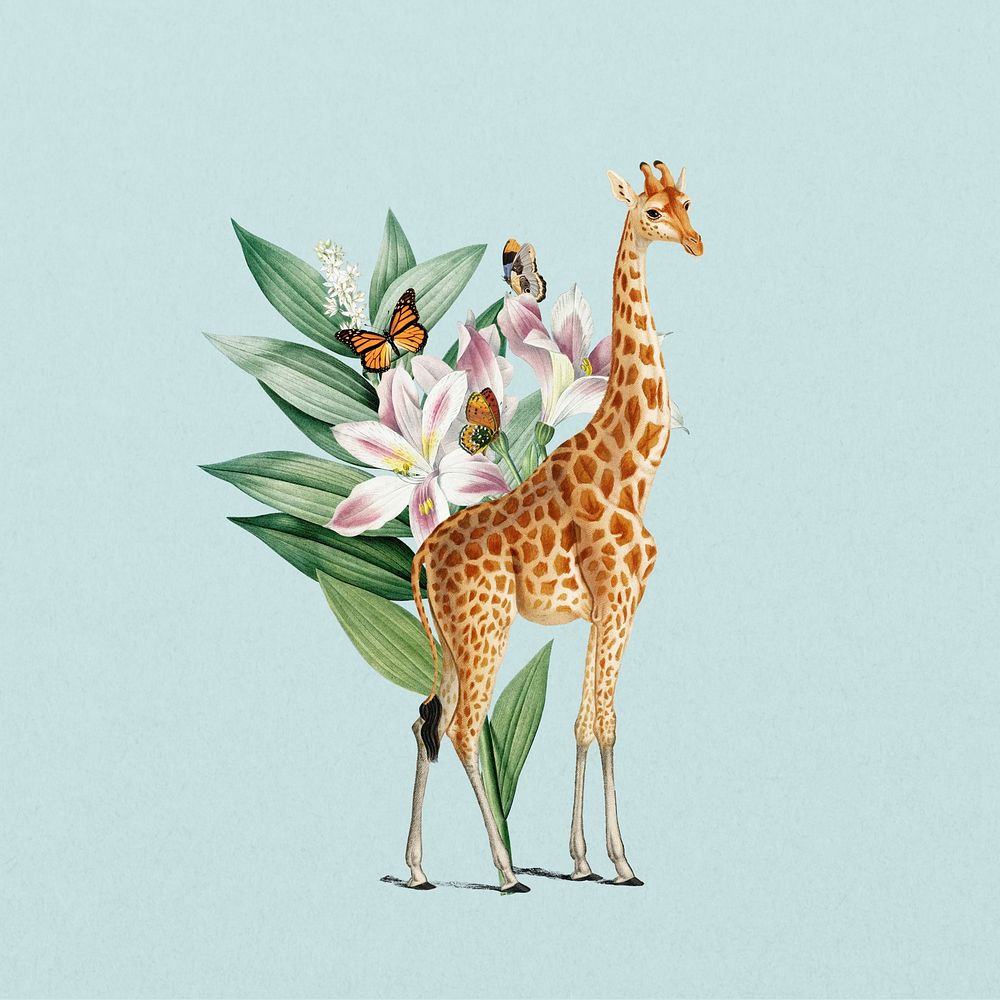 Giraffe wildlife botanical remix collage element