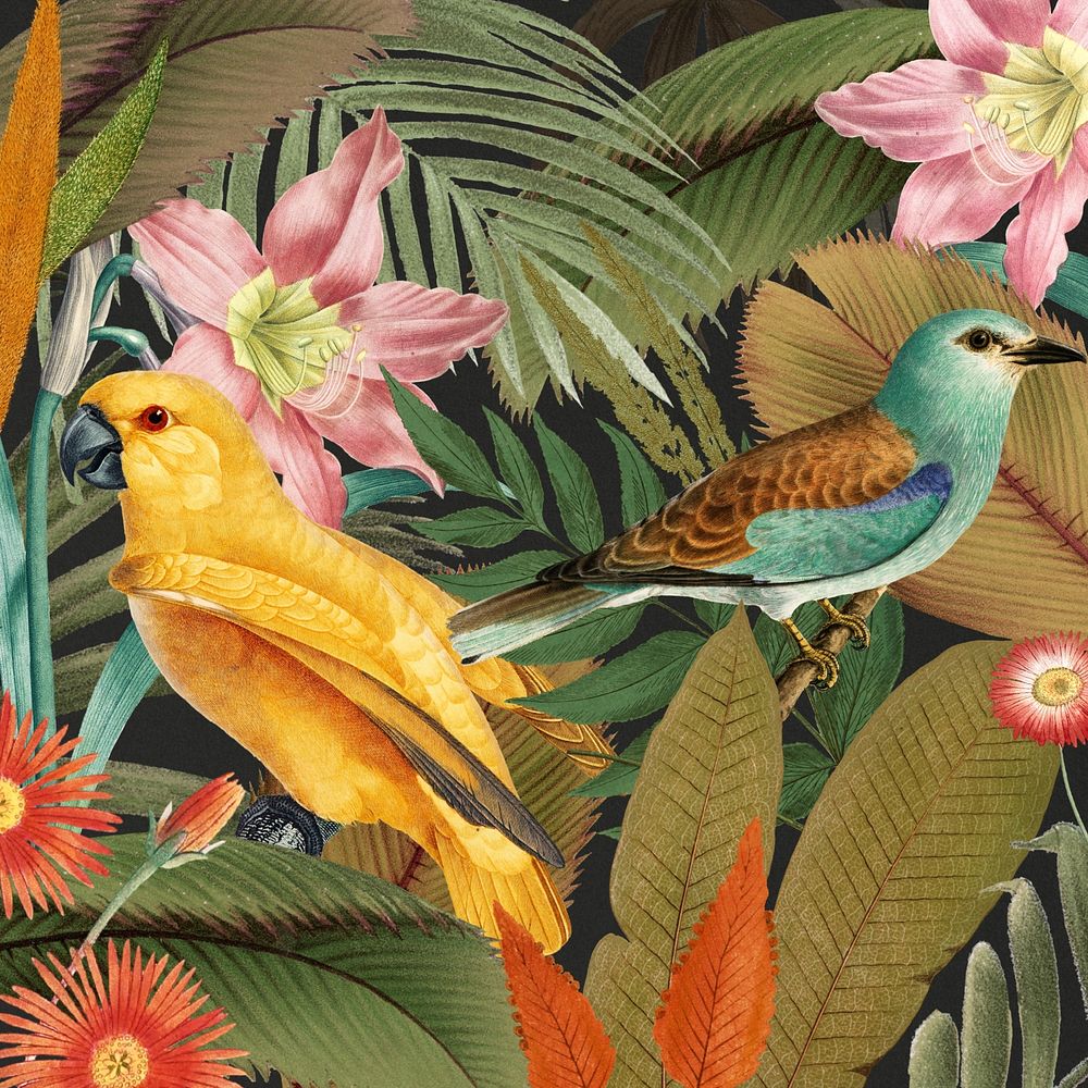 Exotic birds pattern background, jungle illustration
