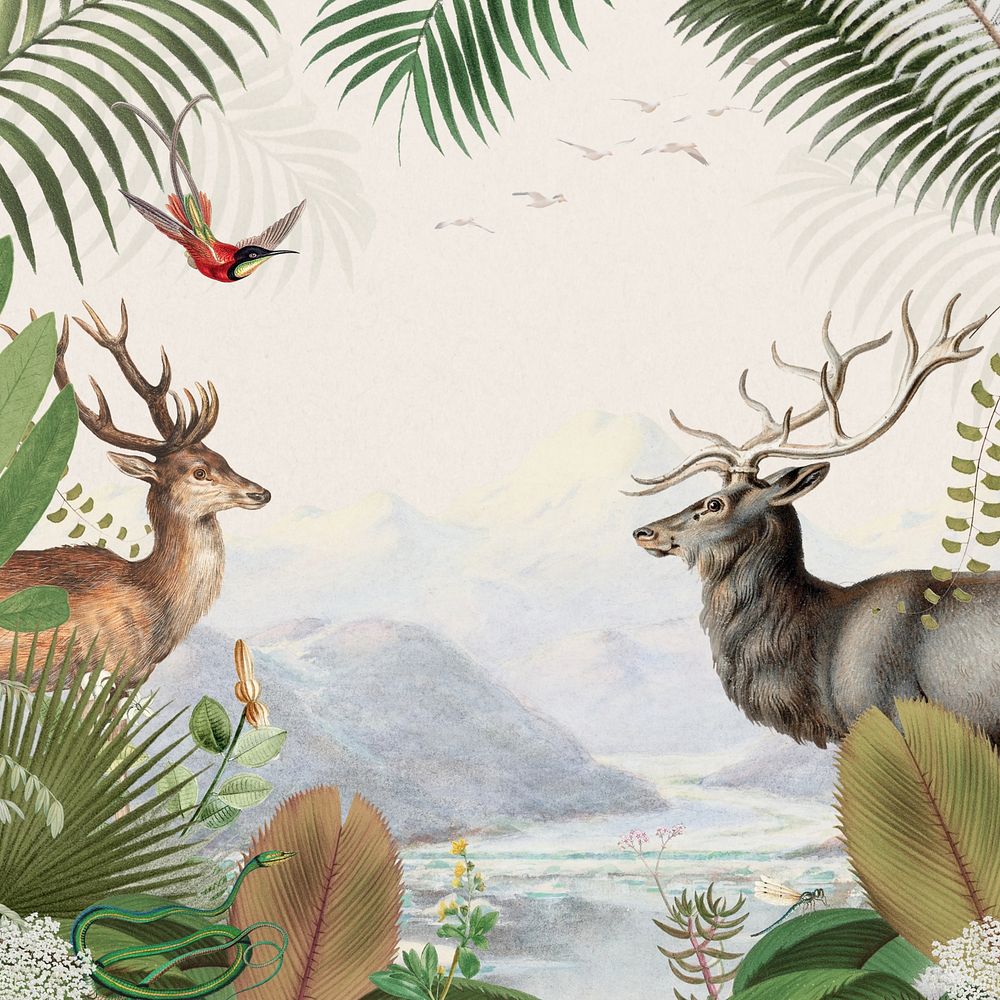Vintage deer elk background, wildlife border frame