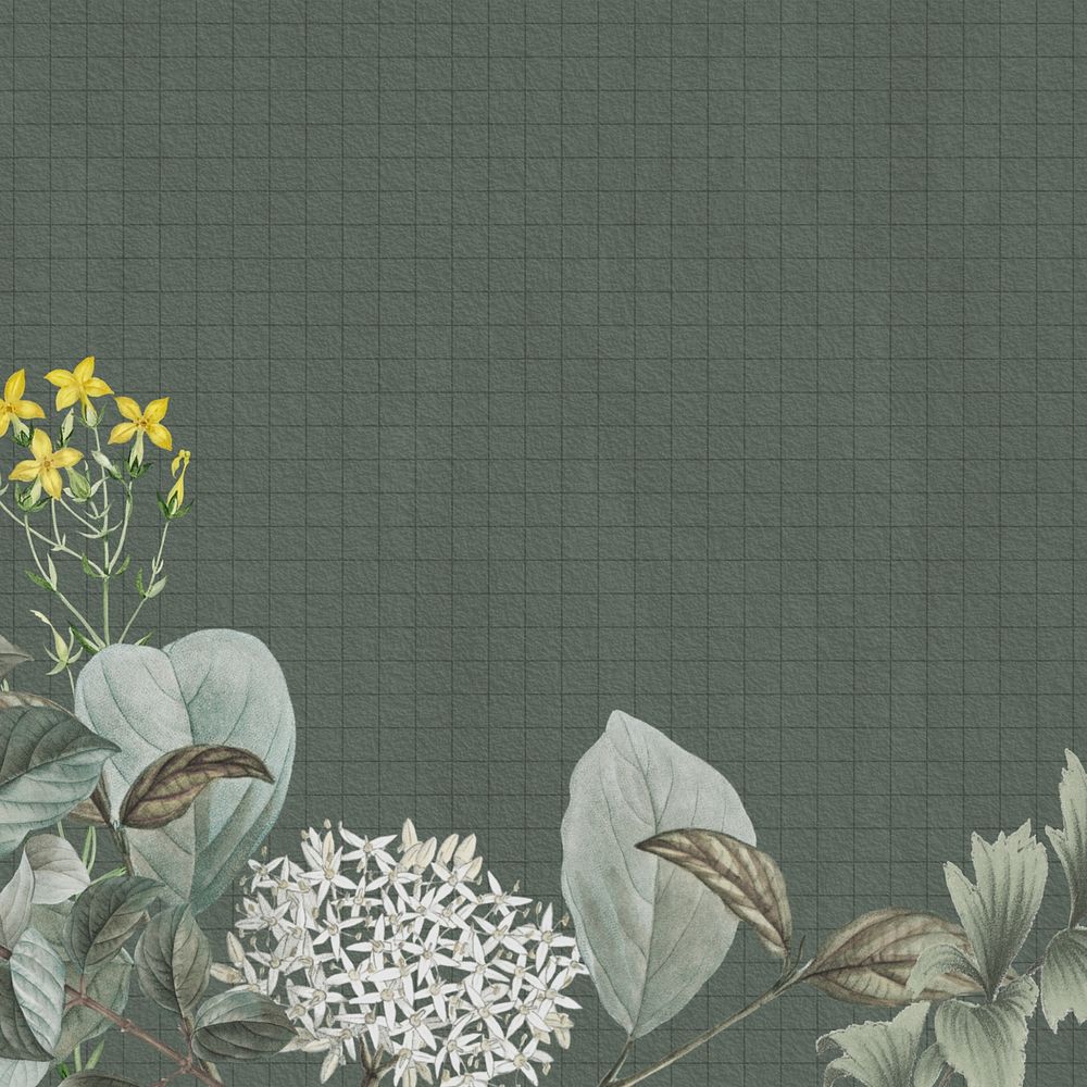 Vintage elderflower background, grid patterned design