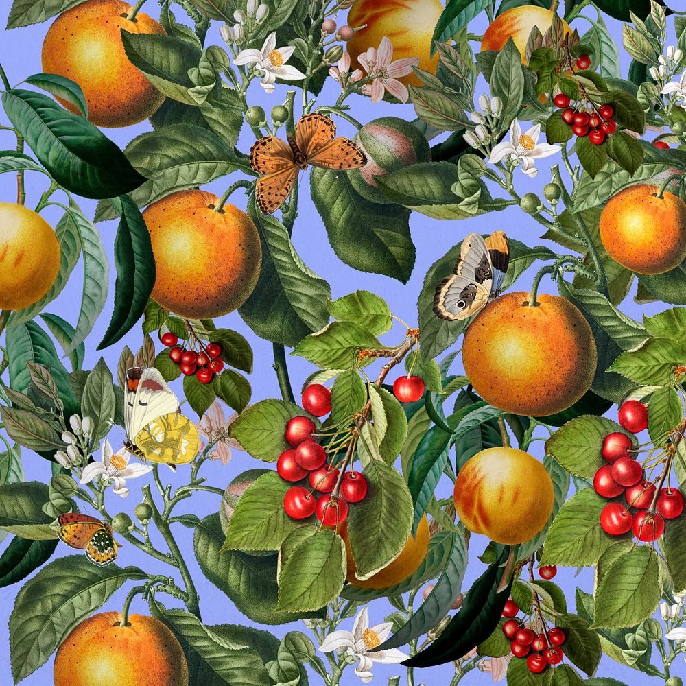 Tropical orange pattern background, vintage fruit illustration