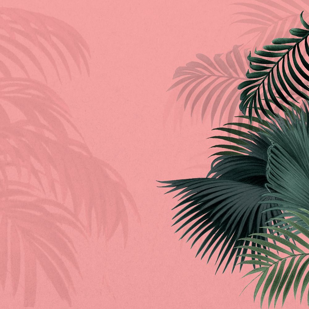 Pink palm leaf background, tropical border